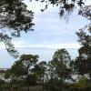 View from the upstairs porch of Cedar Key Summit