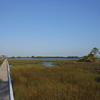 Can you leave the world behind for a few days? Come to Cedar Key Summit. www.cedarkeysummit.com